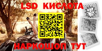 spice Кунгур
