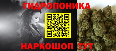 spice Кунгур