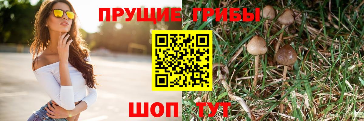 купить  цена  Вход с VPN  Таганрог  Псилоцибиновые грибы MAGIC MUSHROOMS 